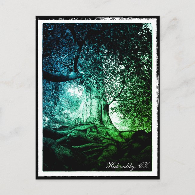 Carte Postale Hukvaldy - Hêtre, Morava, Czechia (Devant)