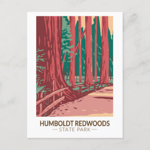 Carte Postale Humboldt Redwoods State Park Avenue of the Giants