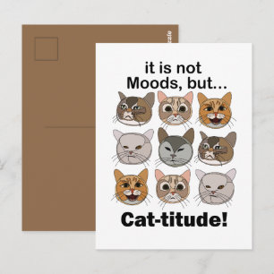 Carte Postale Humeur féline Amoureux des chats