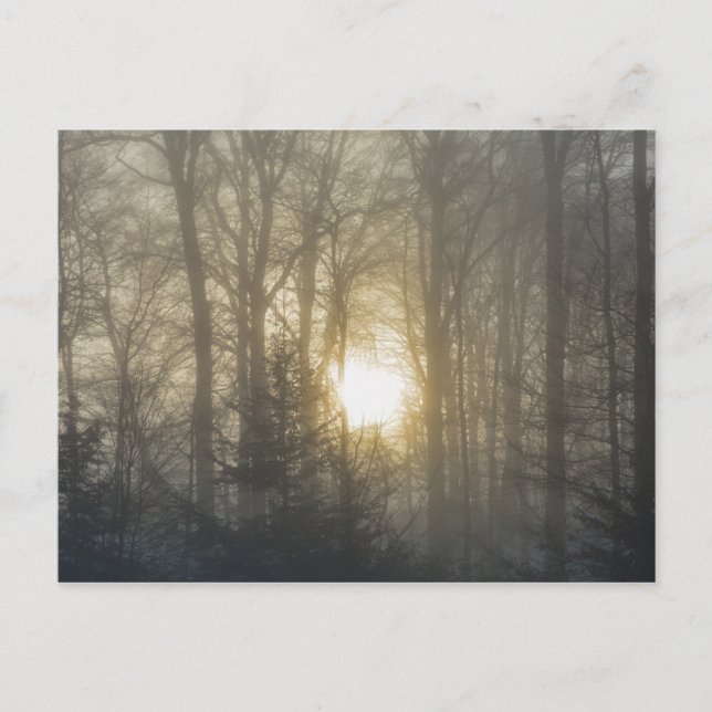 Carte Postale Humeur Matinale (Devant)