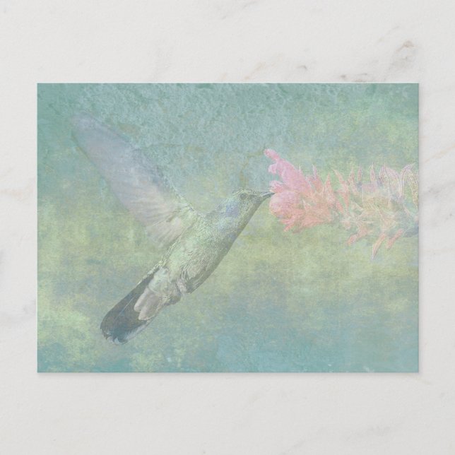 Carte Postale Humminer Tune (Devant)