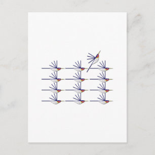 Carte Postale Humming Bird