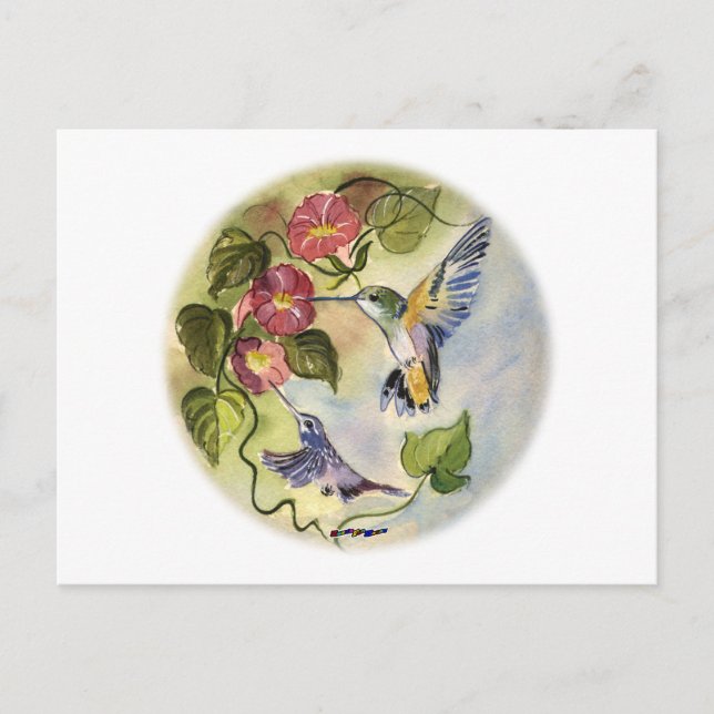 Carte Postale Humming Birds (Devant)