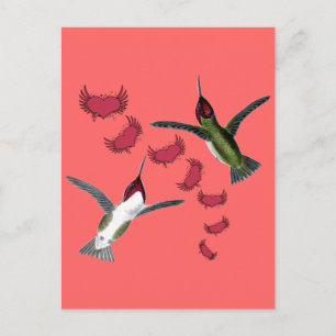 Carte Postale Humming Birds Whimsical Hearts with Wings