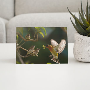 Carte Postale Hummingbird Mère nourriture