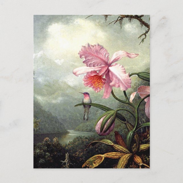 Carte Postale Hummingbird Perched, fine art, (Devant)