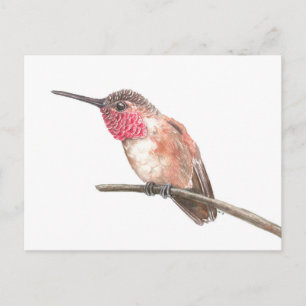 Carte Postale Hummingbird watercolor