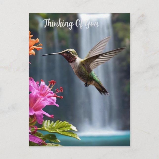Carte Postale Hummingbird Waterfall Park, (Devant)