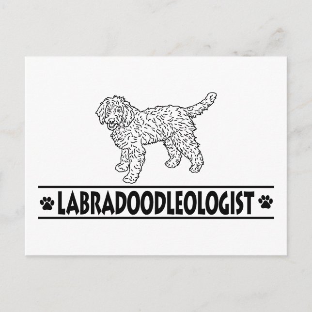 Carte Postale Humoriste Labradoodle (Devant)