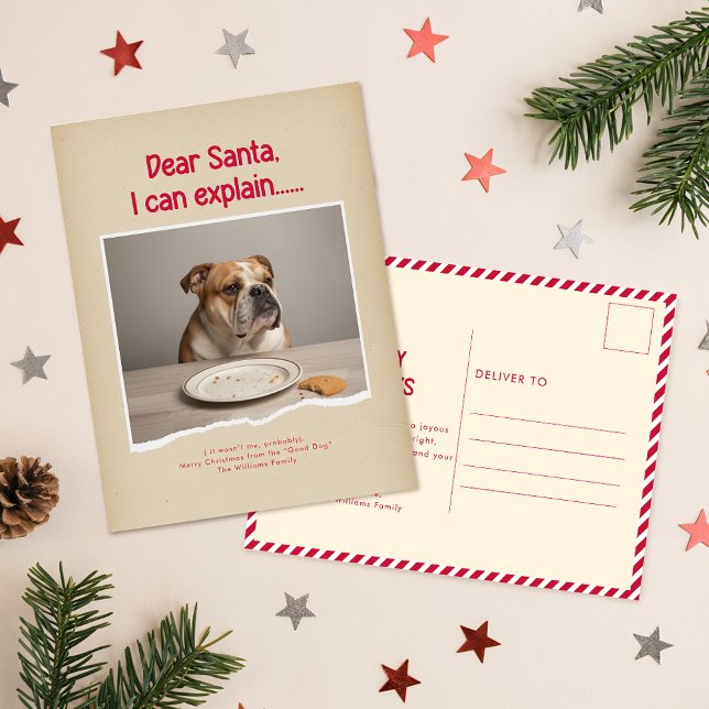 Carte Postale Humorous Funny Dog Pet Family Christmas Postcard (Créateur téléchargé)