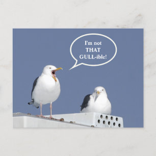Carte Postale Humorous Yelling Seagull Funny Post Card