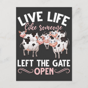 Carte Postale Humour animal de la ferme de la vache Heifer Plais