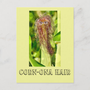 Carte postale Humour cheveux