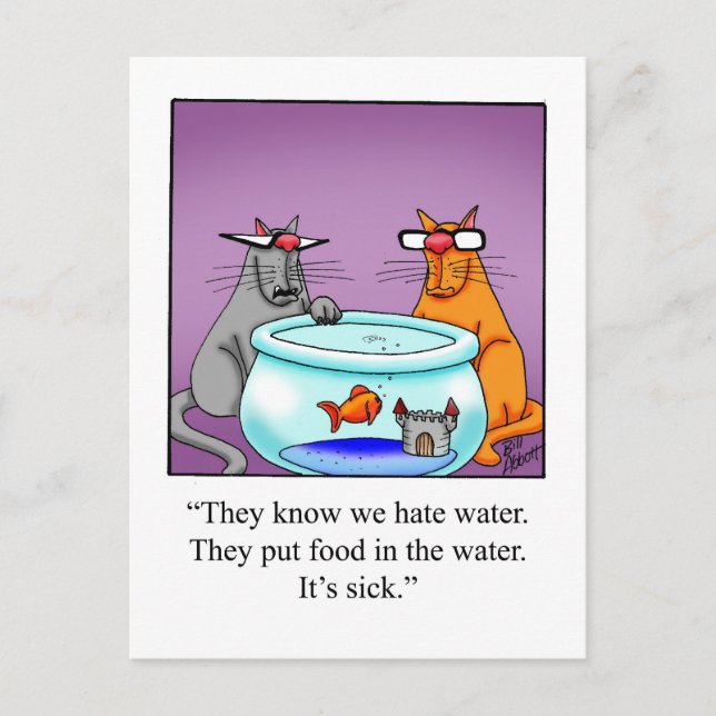 Carte postale Humour de chat amusant (Devant)