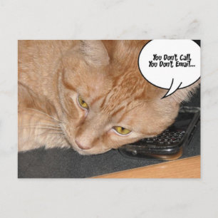 Carte Postale Humour de chat Tabby Orange
