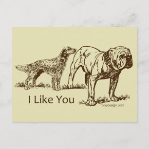 Carte Postale Humour de Like You Dog