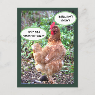 Carte Postale Humour de poulet
