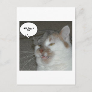 Carte Postale Humour du Bachelor Party