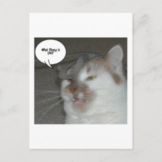 Carte Postale Humour du Bachelor Party