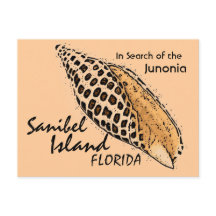 Carte postale humour Junonia shell Sanibel Island