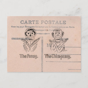Carte Postale Humour Pansy et Chimp