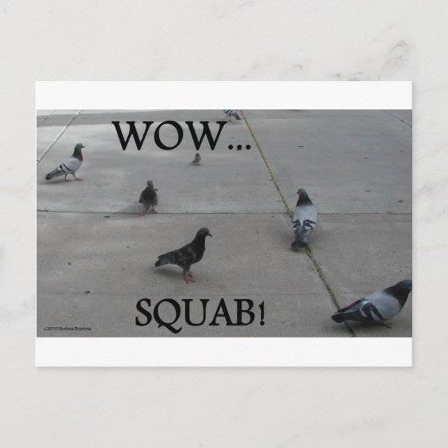 CARTE POSTALE HUMOUR PIGEON (Devant)