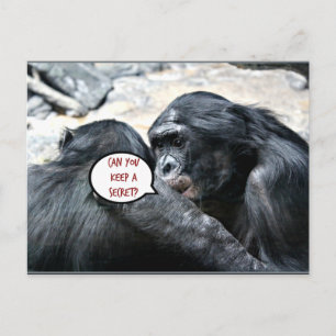 Carte Postale Humour - Pouvez-vous garder un secret ?