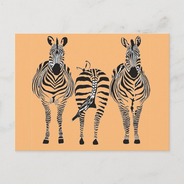 Carte Postale Humour ZEBRA (Devant)