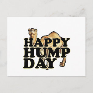 Carte Postale Hump Day Camel T Shirts M.png