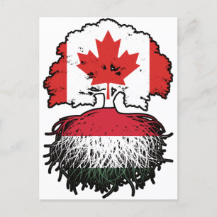 Carte Postale Hungary Affarian Canadian Canada Tree Roots Flag