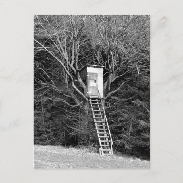 Carte Postale Hunter's Chaise (Devant)