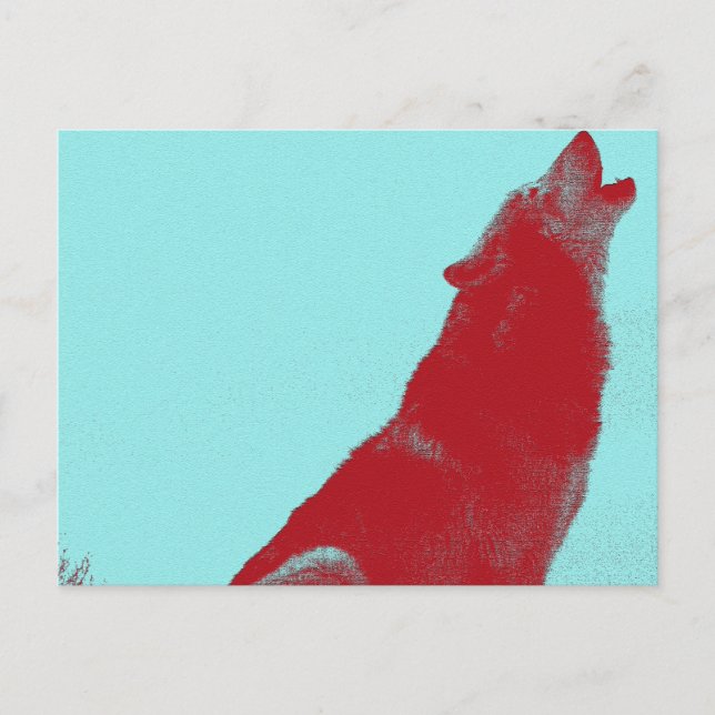 Carte Postale Hurlement de loup (Devant)