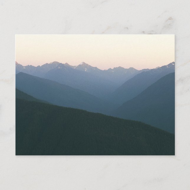 Carte Postale Hurricane Ridge (Devant)