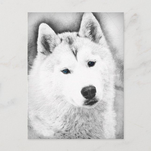 Carte Postale Husky Sibérien Blanc avec Dessin d'Art Blue Eyes (Devant)