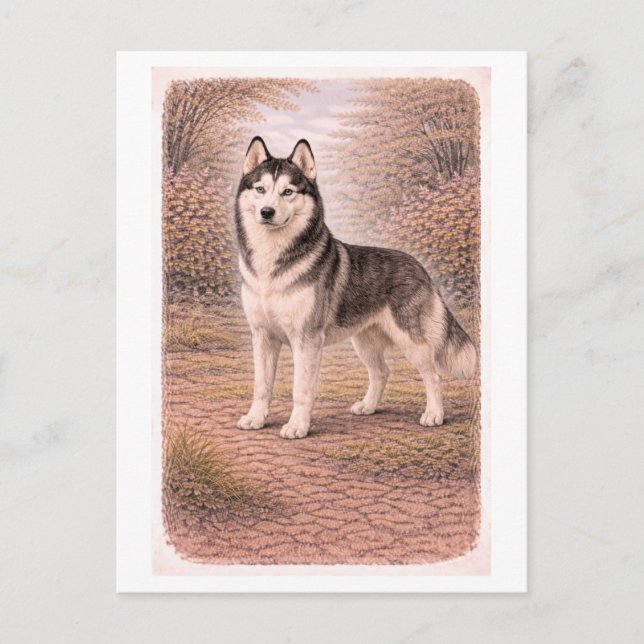 Carte Postale Husky sibérien de style vintage (Devant)