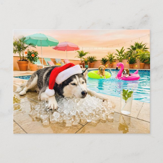 Carte Postale Husky sur les rochers à Noël (Devant)