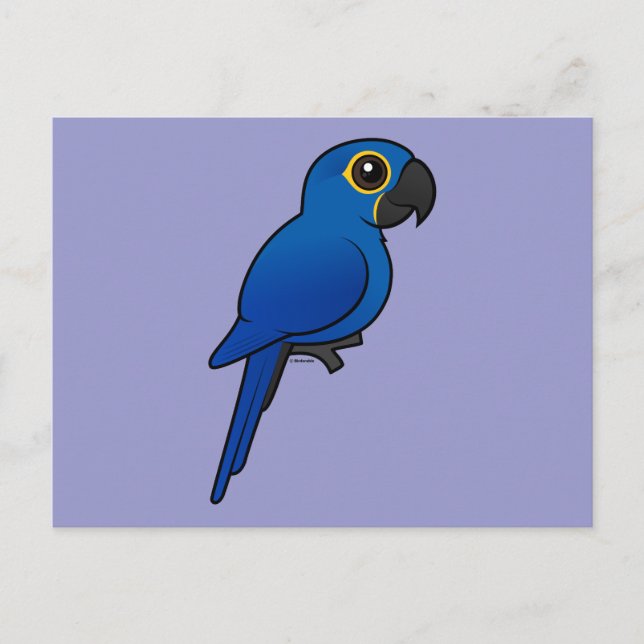 Carte Postale Hyacinth Macaw (Devant)