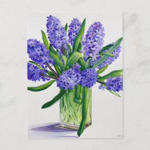 Carte Postale Hyacinthes bleus