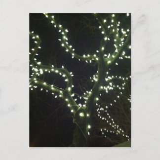 Carte Postale Hyannis Lights Postcard