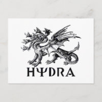 Hydra