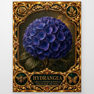 Carte Postale Hydrangea, Objet de Famille Bijou Art