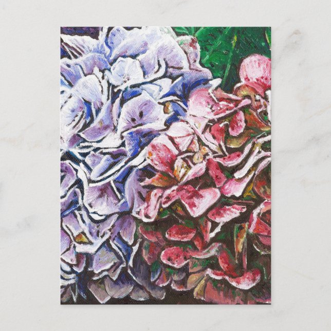 Carte Postale Hydrangeas 2010 (Devant)