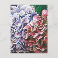 Hydrangeas 2010