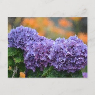 Carte Postale Hydrangeas impressionnistes