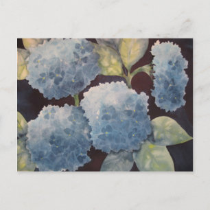 Carte Postale Hydrangeas paradisiaques