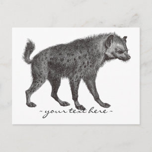 Carte postale Hyena