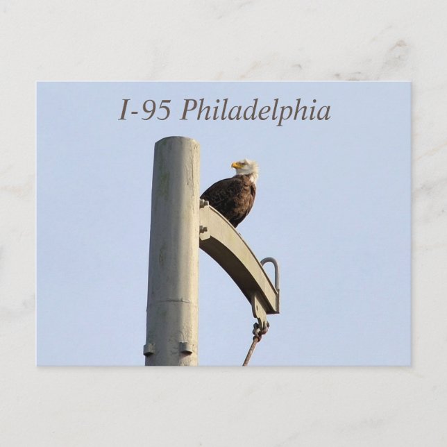 Carte postale I-95 Philadelphia Bald Eagle (Devant)