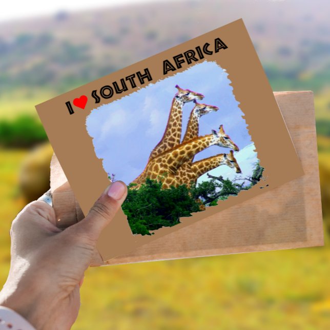 Carte Postale I Coeur Afrique du Sud 4 Giraffes (Créateur téléchargé)