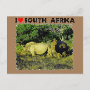 Carte Postale I Coeur Afrique du Sud Rhino Couple