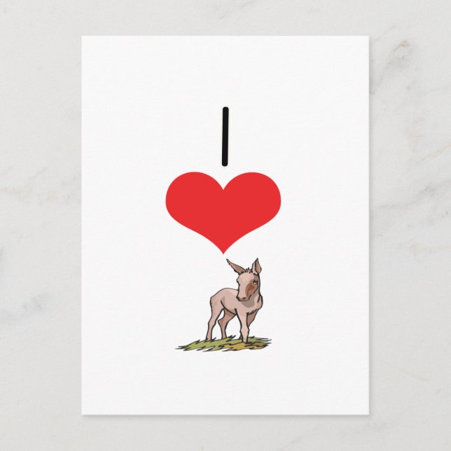 Carte Postale I Coeur (Amour) ânes (Devant)